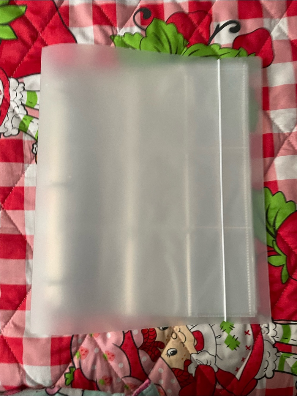 Folder for Trading Cards/Polariods